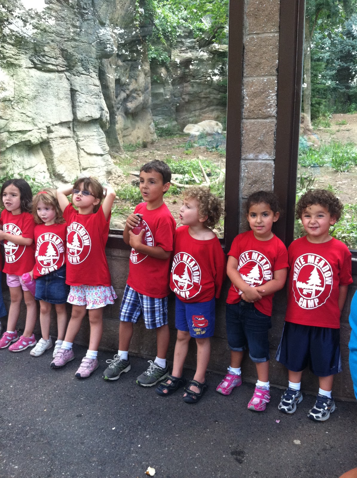 The Kritz Family Camp field trip to Turtle Back Zoo