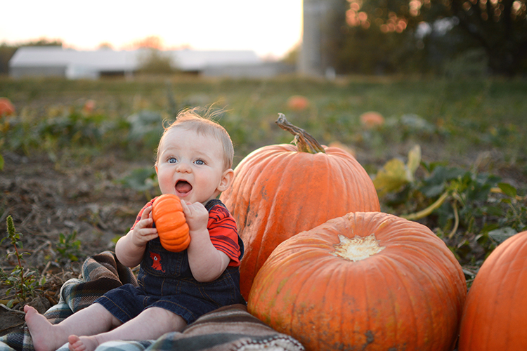 Fall, Pumpkin Patch | My Darling Days Fall, Pumpkin Patch | My Darling Days
