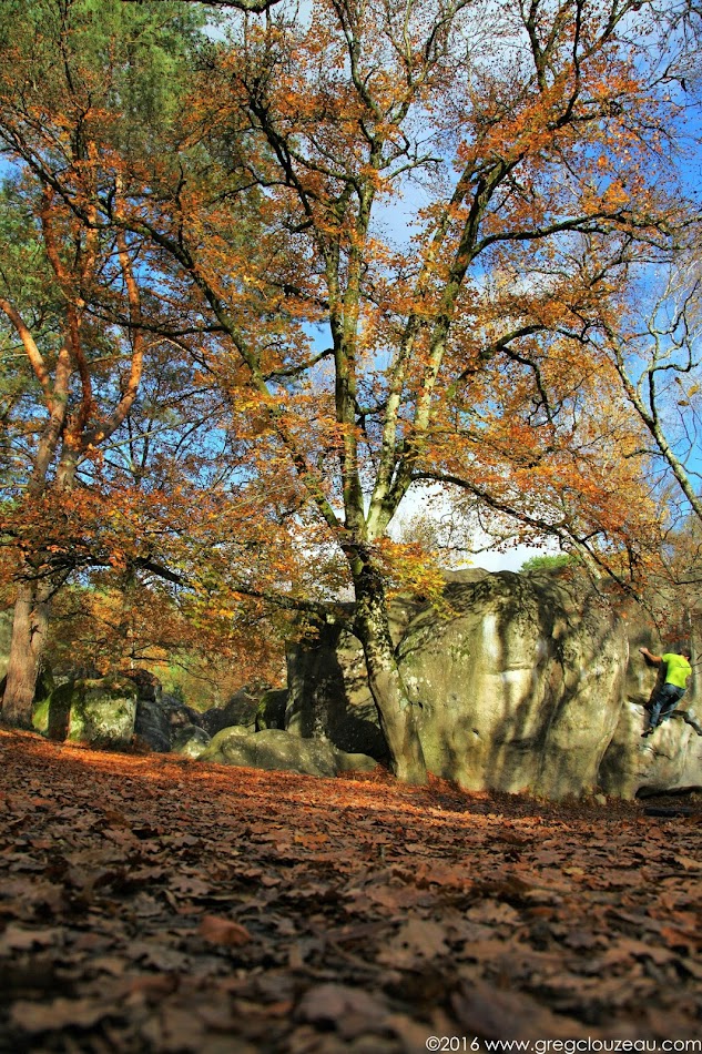 L'angle Incarné, 7B, Bas Cuvier, Fontainebleau. L'angle Incarné, 7B, Bas Cuvier, Fontainebleau.