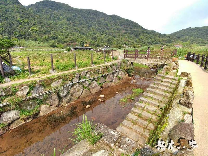 名陽匍休閒農莊|頂湖海芋步道~台北陽明山竹子湖海芋季官網封面照就是在這拍的