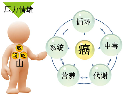 你瞭解身體健康需求嗎?