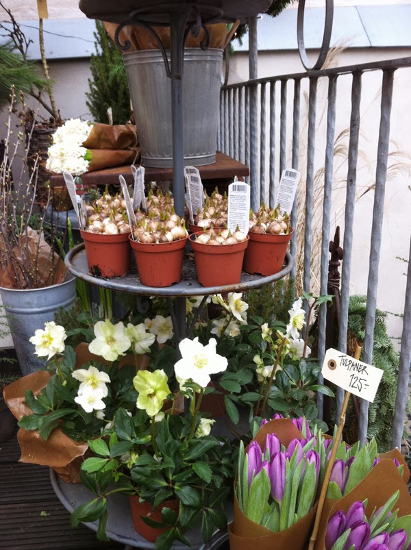 blomsterbutik i Götebor, floramor & krukatös, tips, inspiration, blommor