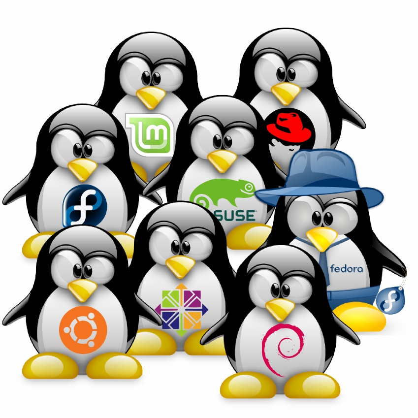 Distribusi linux belajar linux