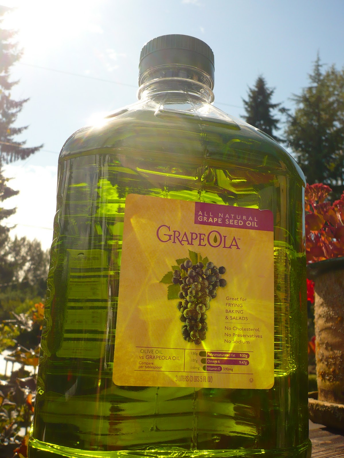 Is Grape Seed Oil Good For High Cholesterol at Thomas Thompson blog