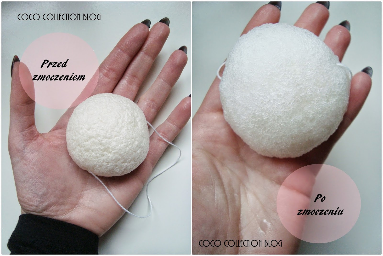 YASUMI Konjac Sponge COCO COLLECTION