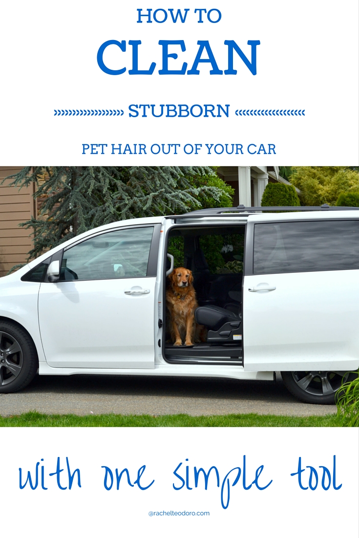 DIY Didn't I Think of This Sooner! The Easy Way to Get Rid of Dog Hair in your Car. Rachel Teodoro