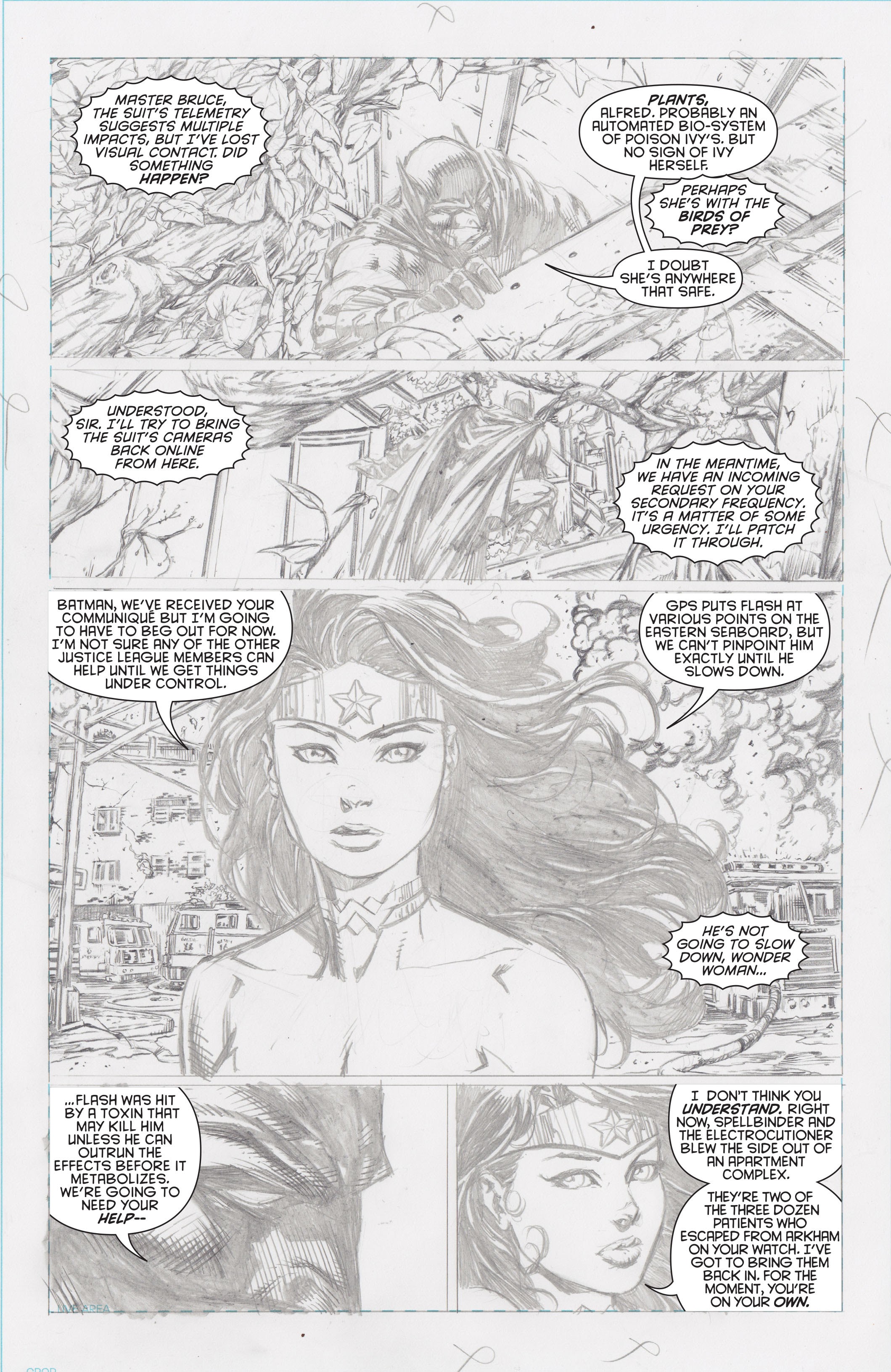 Read online Batman: The Dark Knight Unwrapped By David Finch Deluxe Edition comic -  Issue # TPB (Part 2) - 59