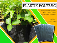 Plastik Polybag Harga Termurah