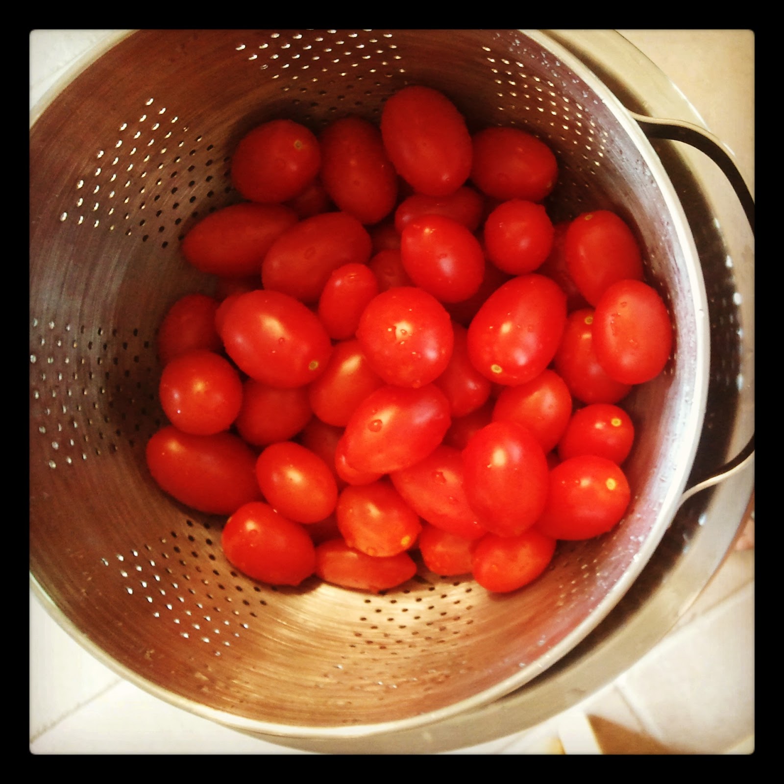 The Homestead Chronicles 31 Days + Preserving the Harvest {Juliet