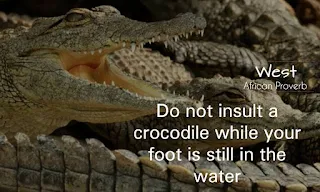 Do not insult a crocodile while your foot is still in the water