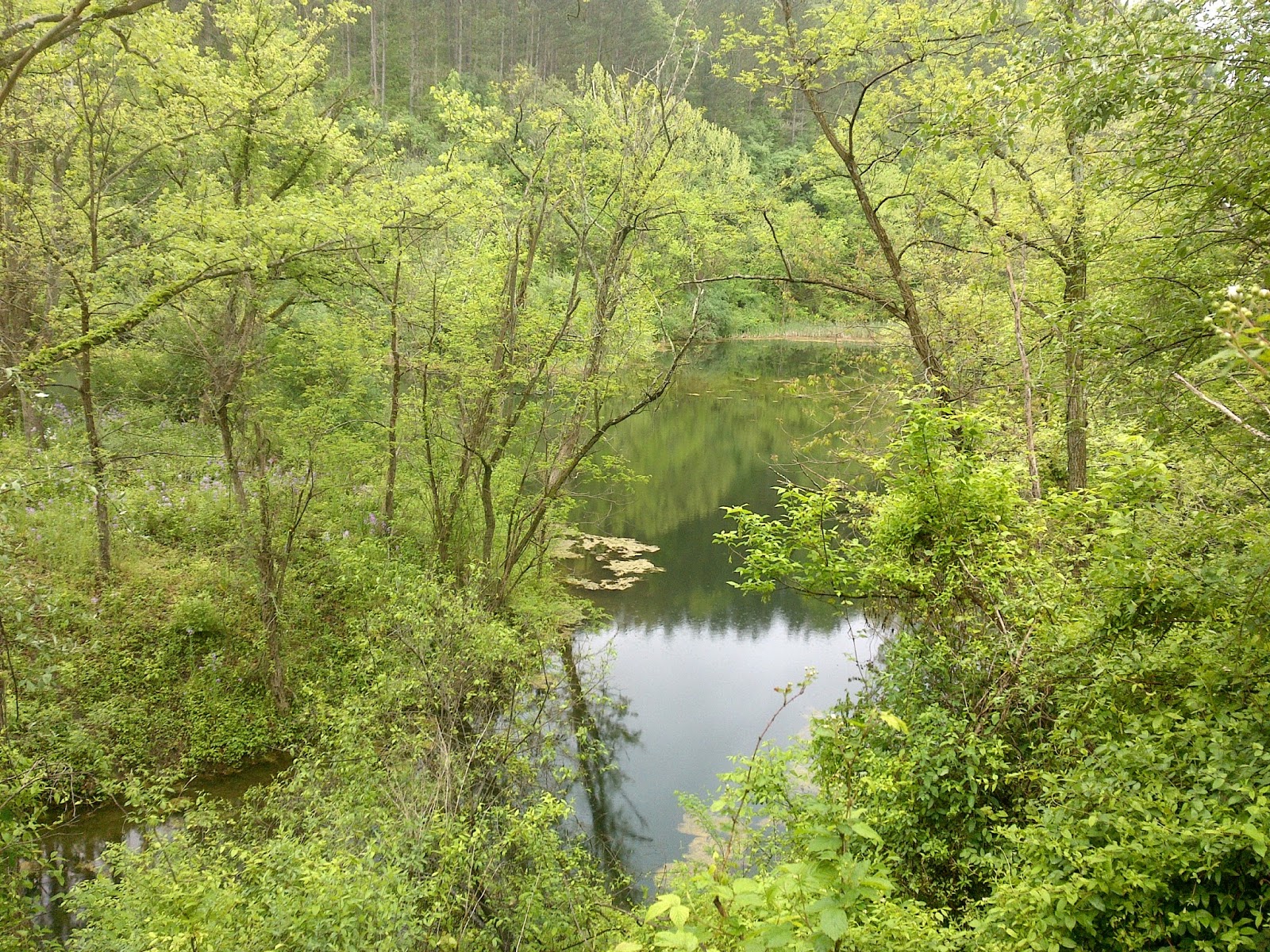 Aep Recreation Land Pond Map Heart And Sole: Hiking Aep's Reclaimed Land - 25 Miles In The Woods