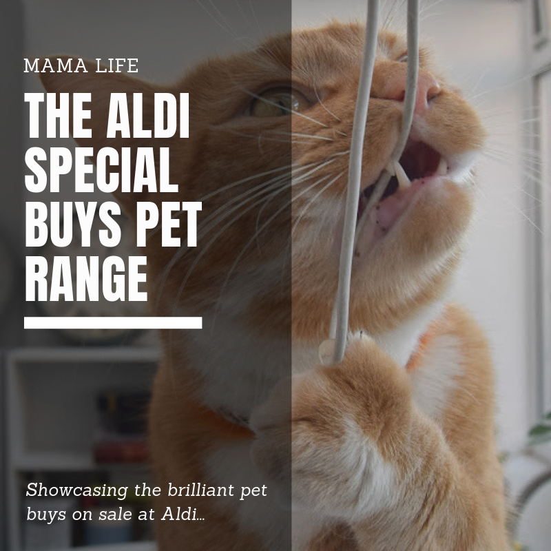Wafflemama The Aldi Special Buys Range For Pets