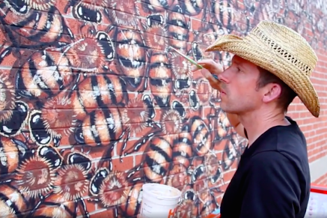Misi Mulia Pria Pelukis Lebah Madu Di Tembok Berbgai Negara