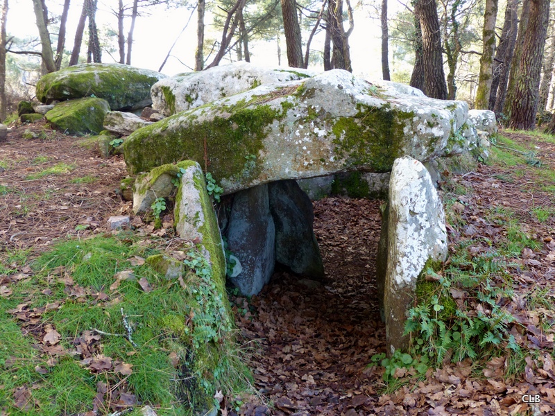 Le retour chez Canelle Le Dolmen de Kermarquer