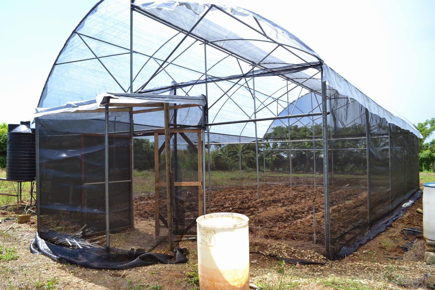 FOOD FOR THE POOR JAMAICA NEW GREEN HOUSE FOR MANNING'S HIGH SCHOOL