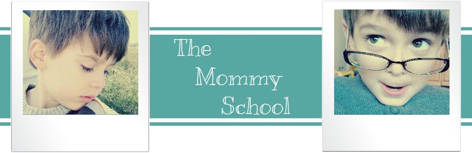 The Mommy School