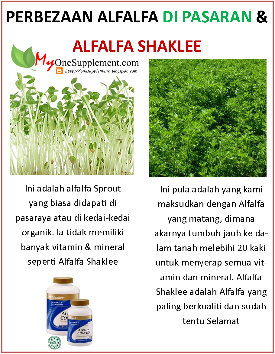 Khasiat alfalfa complex