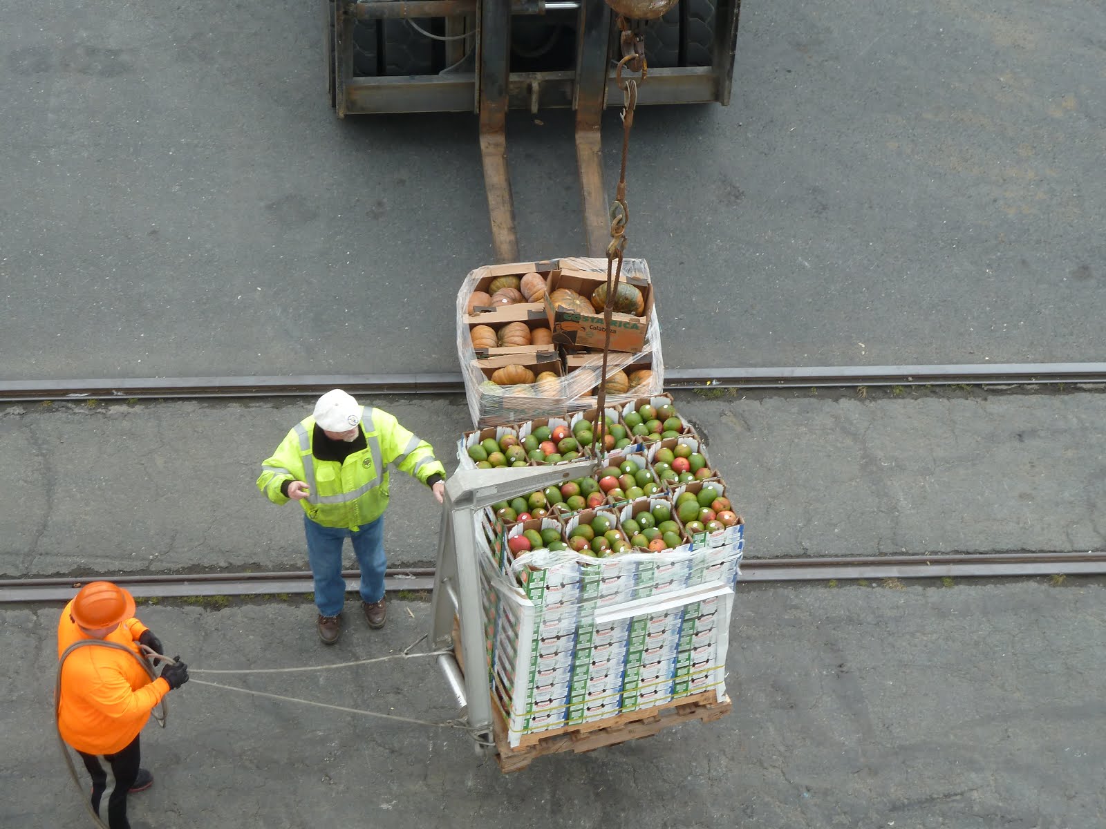 Northwest Passage 2016 Mangoes Being Loaded On Board Ship