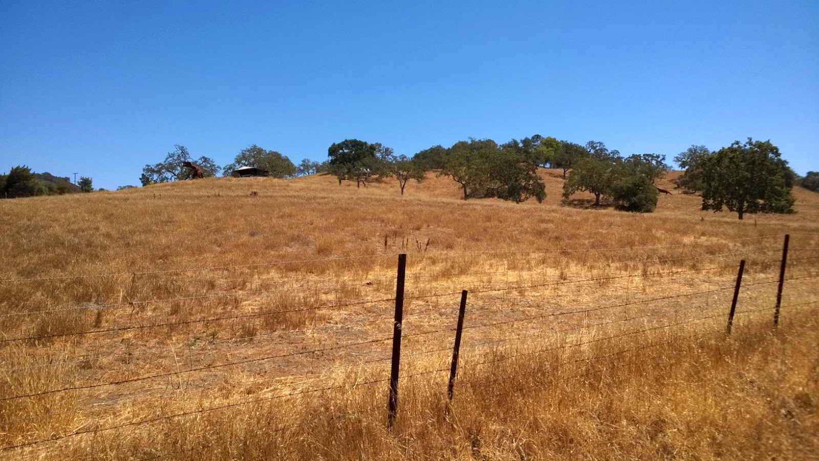 Exploring the Central Coast from San Luis Obispo The Dinosaurs of