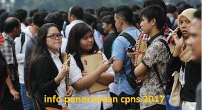 Penerimaan CPNS Tahun 2017 - Berikut Formasi Yang Akan Diterima