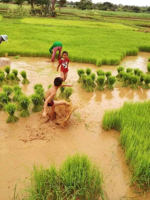 Kegiatan Massa Kecil Yang INDAH ini, Bagaimana Jika Terjadi SEKARANG ? Kegiatan Massa Kecil Yang INDAH ini, Bagaimana Jika Terjadi SEKARANG ?