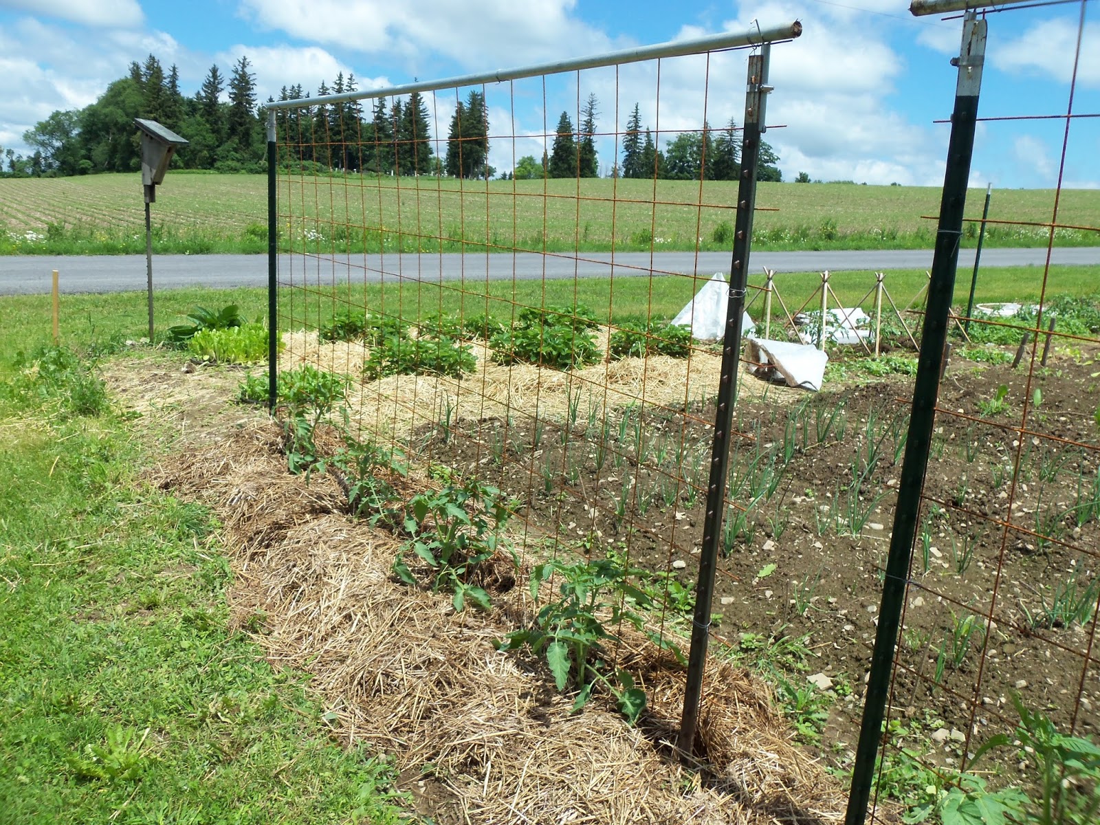 Whizbang Trellis Instruction How To Maket Post Trellis Spans