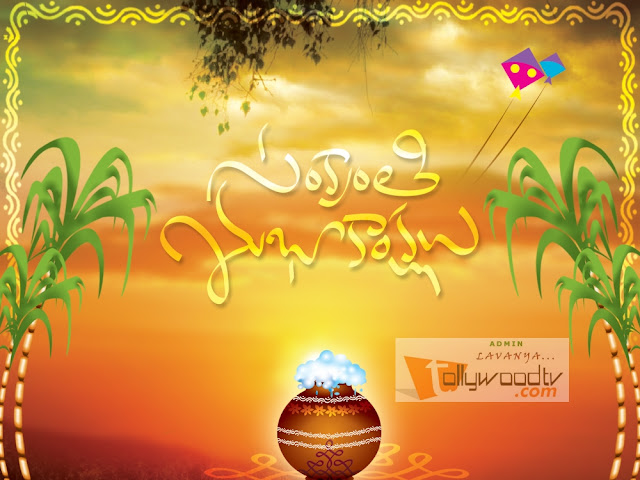 happy sankranthi to all | Tollywoodtv