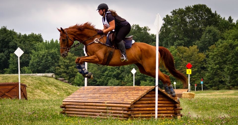 Dream Big How to Make Eventing More Viewer Friendly