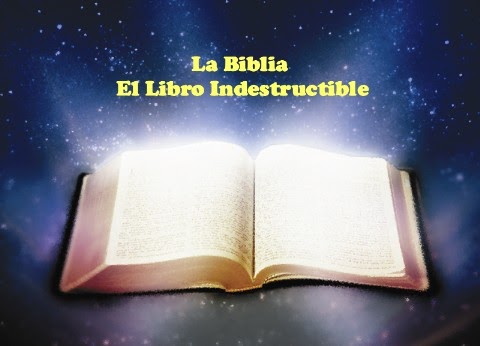 Curiosidades Biblicas: Libros Apócrifos