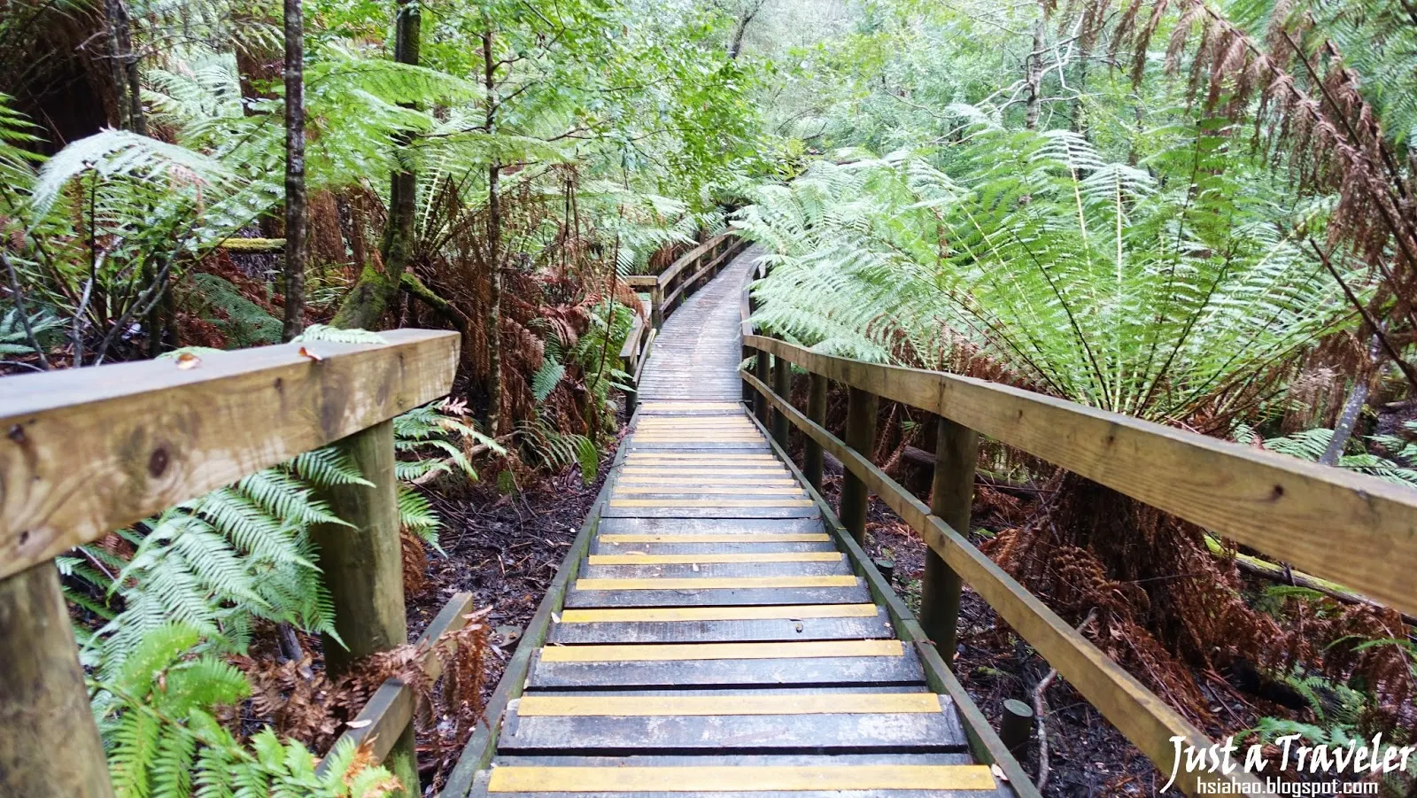 塔斯馬尼亞-步道-景點-推薦-Hastings-Caves-Thermal-Springs-旅遊-自由行-澳洲-Tasmania-Tourist-Attraction-Travel-Australia