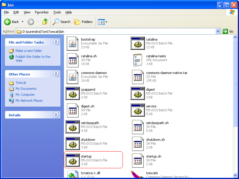 Middleware Administration Starting And Stopping Server