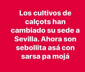 Los cultivos de calçots han cambiado su sede a Sevilla, ahora son, sebollita asá con sarsa pa mojá
