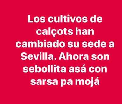 Los cultivos de calçots han cambiado su sede a Sevilla, ahora son, sebollita asá con sarsa pa mojá Los cultivos de calçots han cambiado su sede a Sevilla, ahora son, sebollita asá con sarsa pa mojá