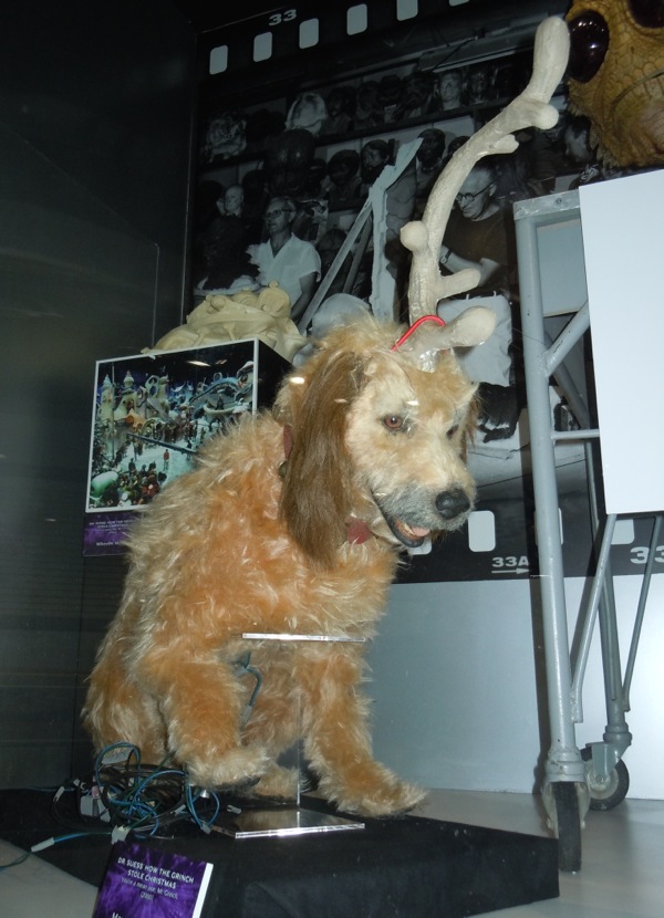 Max The Grinch Dog Breed Max The Grinch Dog Breed