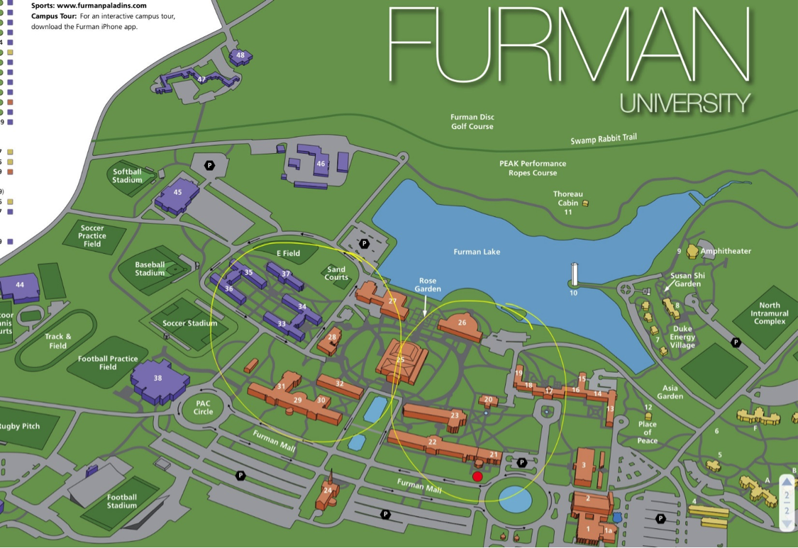 In the Words of Susie Wold... March 2015