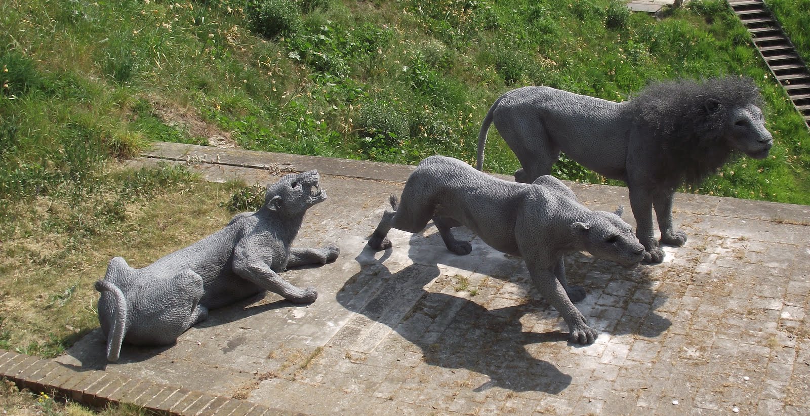 Discovering London: Tower of London Lions