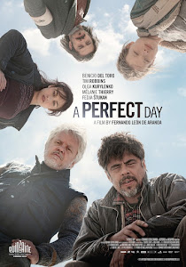undefined Poster