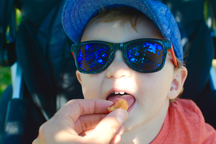 Door County, cherry picking | My Darling Days Door County, cherry picking | My Darling Days