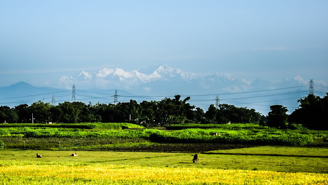 The whole range of Kanchenjunga standing as an upfront wall. The whole range of Kanchenjunga standing as an upfront wall. @DoiBedouin