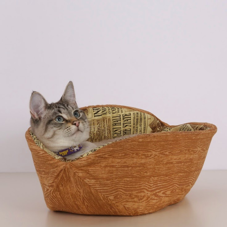 Cat Canoe | Exclusively Cats Veterinary Hospital, Waterford, MI