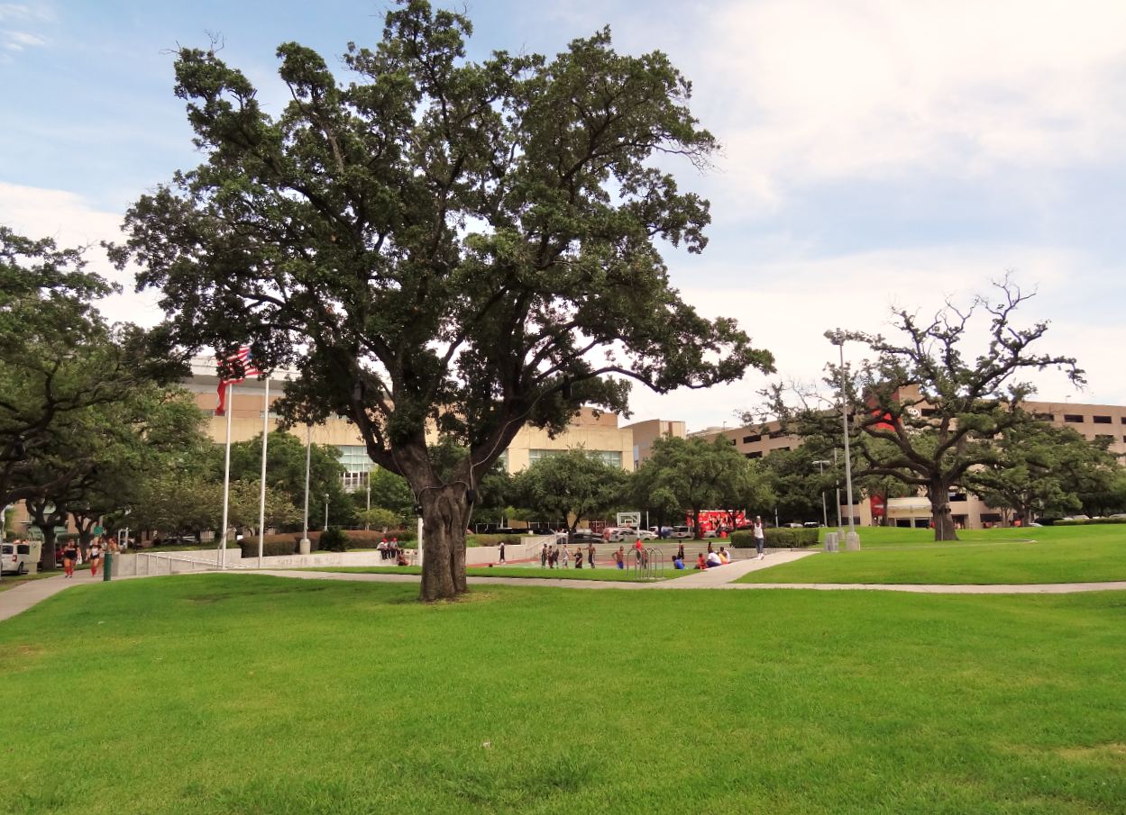 toyota park houston #3