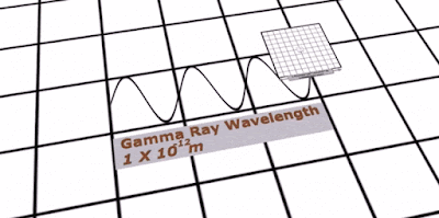 The Monkey Buddha: 3D Comparison of Sizes in The Universe