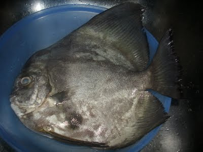 AMIE'S LITTLE KITCHEN: Ikan Bunak Asam