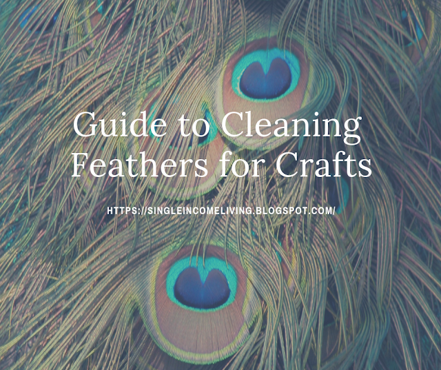 Nellis Farm Cleaning & Sanitizing Feathers Preparing Feathers for Crafts