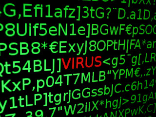 Computer Viruses How to protect your computer