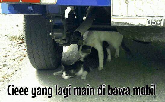 30 Gambar Meme Paling Lucu Dan Konyol 30 Gambar Meme Paling Lucu Dan Konyol