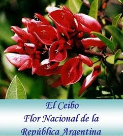 El Ceibo-Nuestra Flor Nacional Argentina