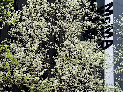 Spring New York City