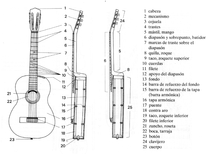 Consejos al Comprar una Guitarra Aprende Tocar Guitarra aprender tocar guitarra Consejos al Comprar una Guitarra Aprende Tocar Guitarra aprender tocar guitarra