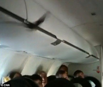 6 Binatang Mengerikan Yang Pernah Muncul Di Pesawat [ www.BlogApaAja.com ]